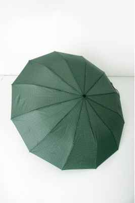 Жіноча парасолька-автомат